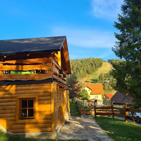 Dağ evi Goralski Nad Czorsztynem - *