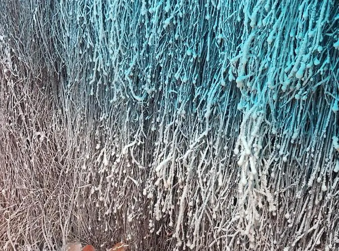 Goralski Nad Czorsztynem - * קלוצ'קובצה